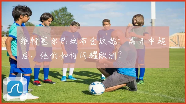 维特塞尔巴坎布金玟哉：离开中超后，他们如何闪耀欧洲？