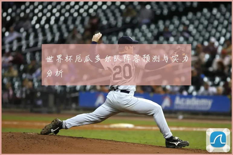 世界杯厄瓜多尔队阵容预测与实力分析