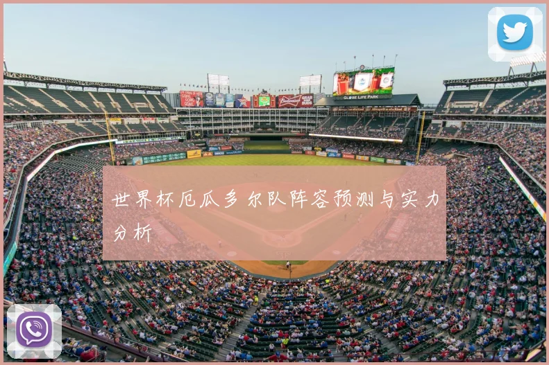 世界杯厄瓜多尔队阵容预测与实力分析